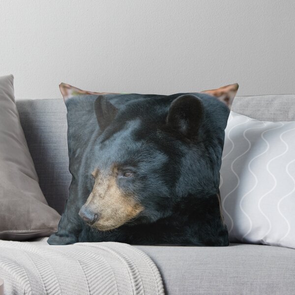 Item preview, Bearly Awake designed and sold by Karen Peron.
