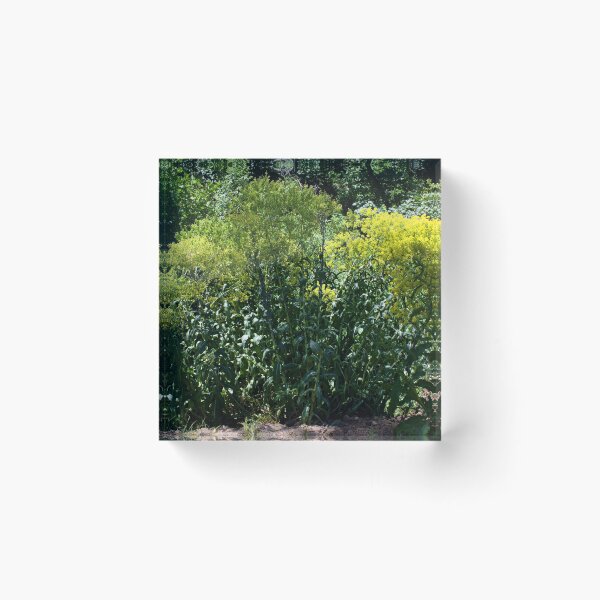 Item preview, Scenic forest and mountain nature designed and sold by Ventures1.