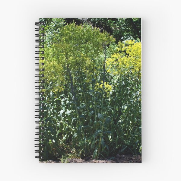 Item preview, Scenic forest and mountain nature designed and sold by Ventures1.