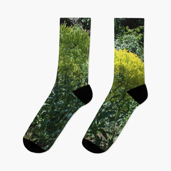 Item preview, Scenic forest and mountain nature designed and sold by Ventures1.