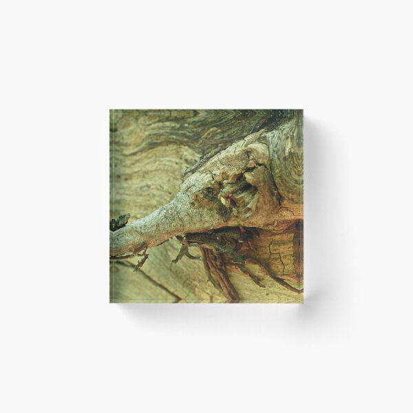 Item preview, Scenic forest and mountain nature designed and sold by Ventures1.