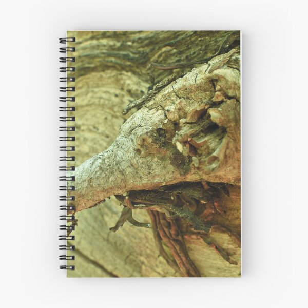 Item preview, Scenic forest and mountain nature designed and sold by Ventures1.