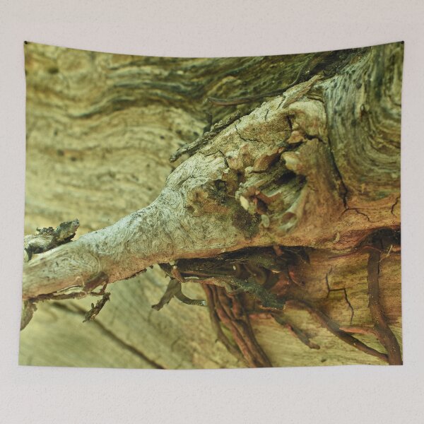 Item preview, Scenic forest and mountain nature designed and sold by Ventures1.