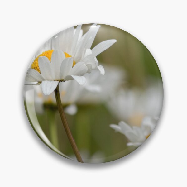 Artikelvorschau, Wildflower Gänseblümchen entworfen und verkauft von HaleyRedshaw.