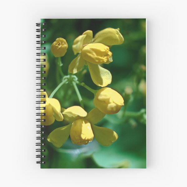 Item preview, Scenic forest and mountain nature designed and sold by Ventures1.