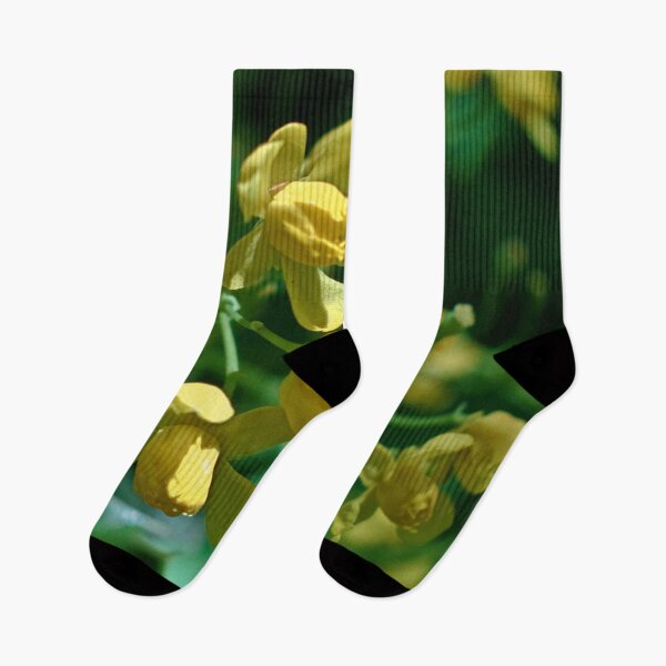 Item preview, Scenic forest and mountain nature designed and sold by Ventures1.