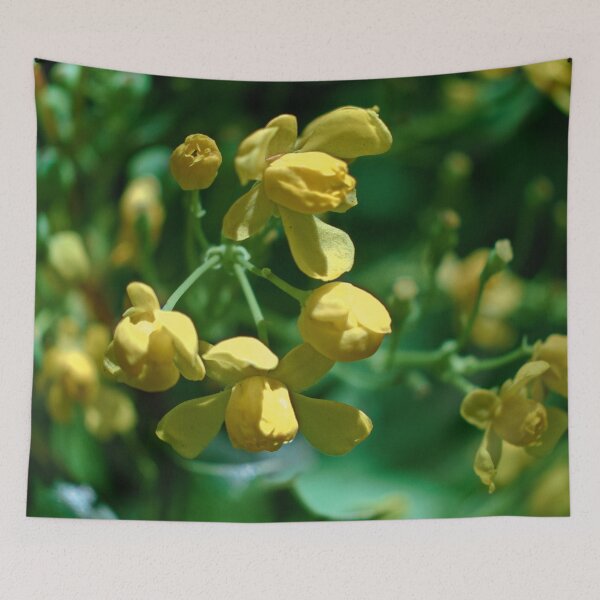 Item preview, Scenic forest and mountain nature designed and sold by Ventures1.