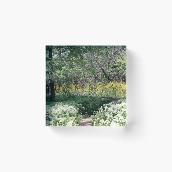 Item preview, Scenic forest and mountain nature designed and sold by Ventures1.