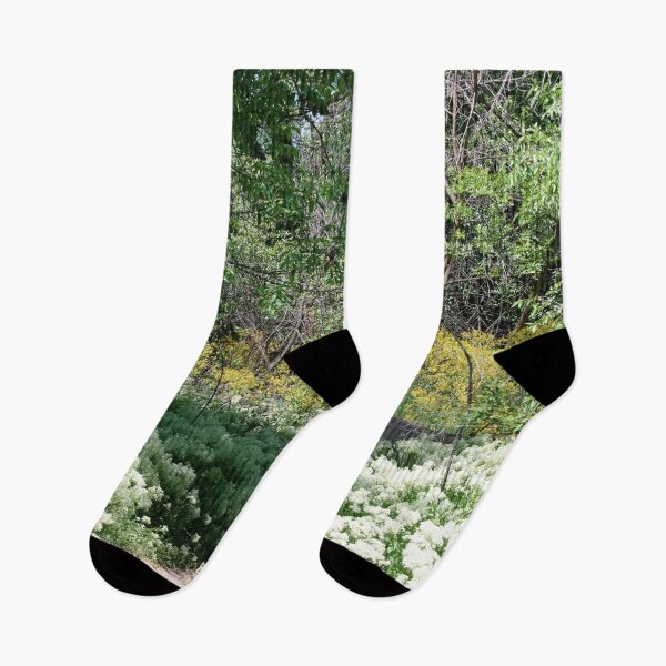 Item preview, Scenic forest and mountain nature designed and sold by Ventures1.