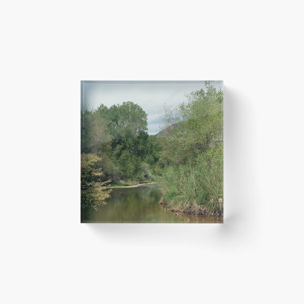Item preview, Scenic forest and mountain nature designed and sold by Ventures1.