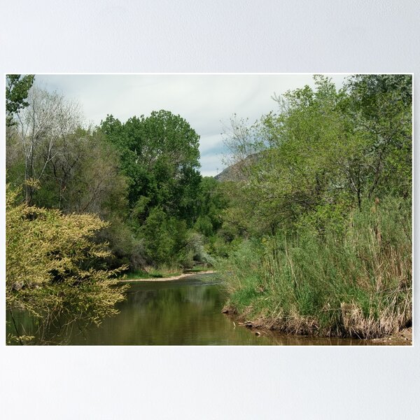 Item preview, Scenic forest and mountain nature designed and sold by Ventures1.