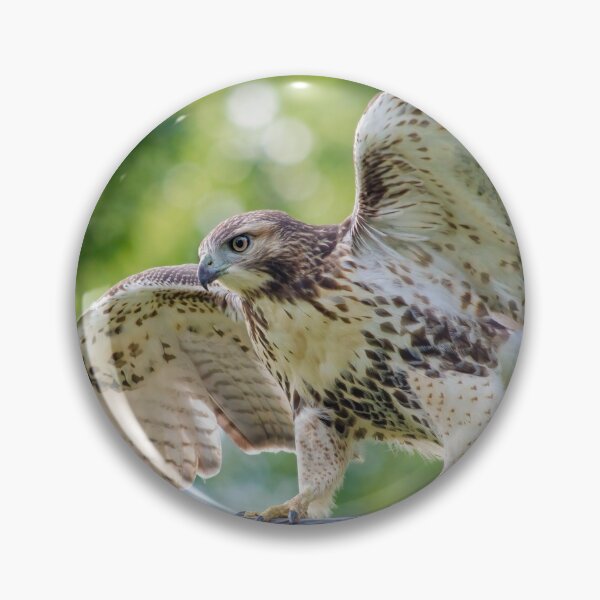 Item preview, Keep Your Balance  designed and sold by Karen Peron.