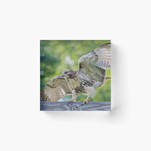 Item preview, Keep Your Balance  designed and sold by Karen Peron.
