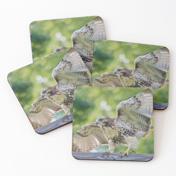 Item preview, Keep Your Balance  designed and sold by Karen Peron.