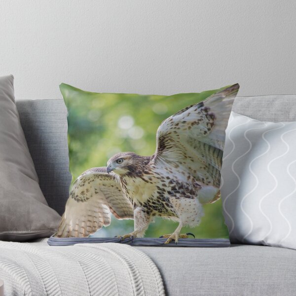 Item preview, Keep Your Balance  designed and sold by Karen Peron.