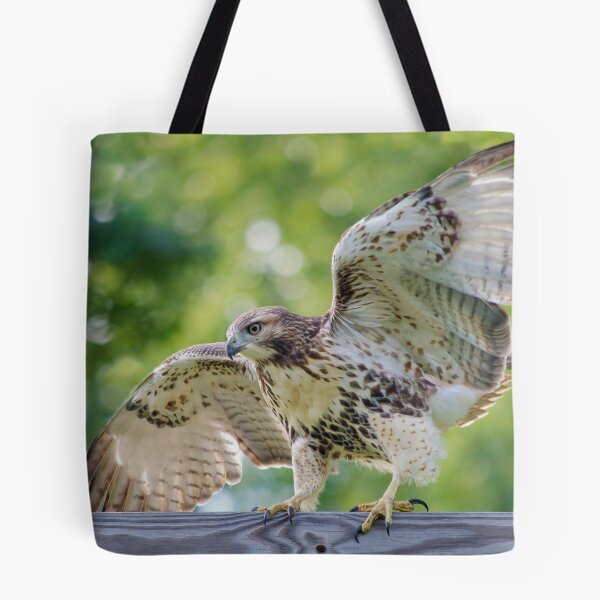 Item preview, Keep Your Balance  designed and sold by Karen Peron.