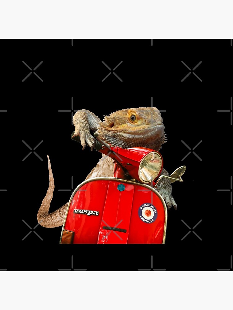 Born To Be Wild - Bearded Dragon On A Vespa by snibbo71