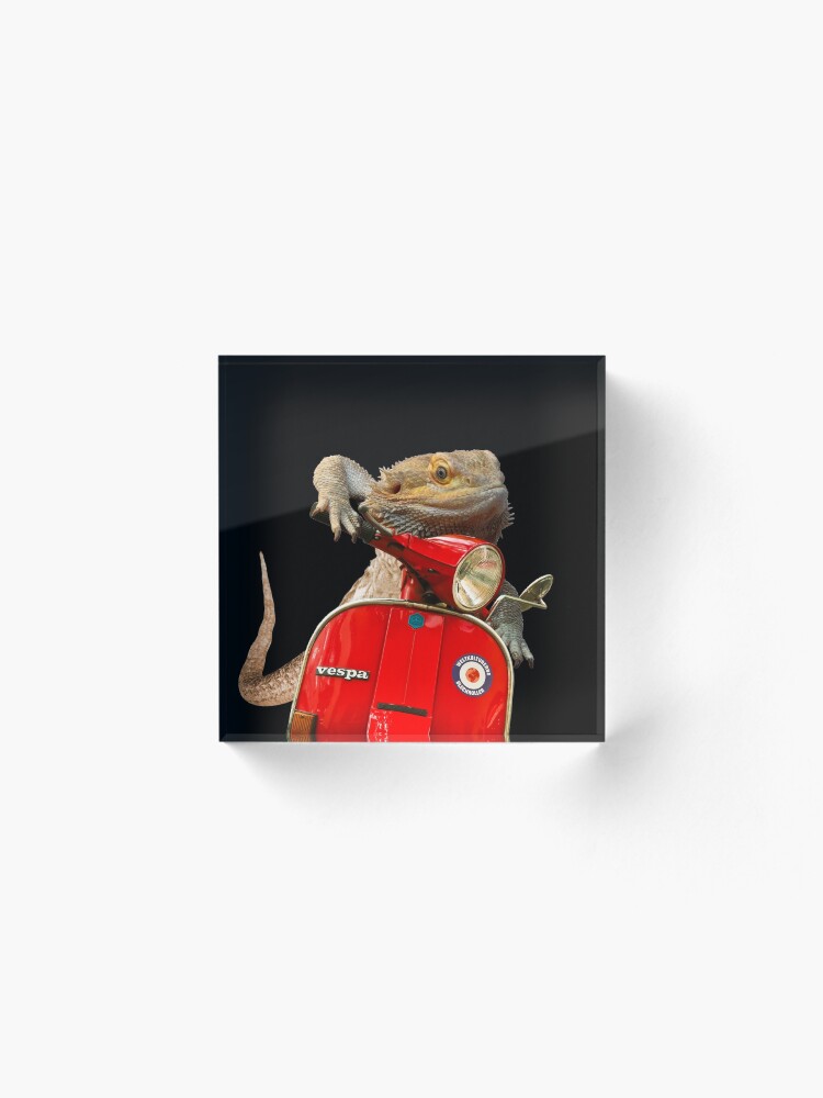 Alternate view of Born To Be Wild - Bearded Dragon On A Vespa Acrylic Block