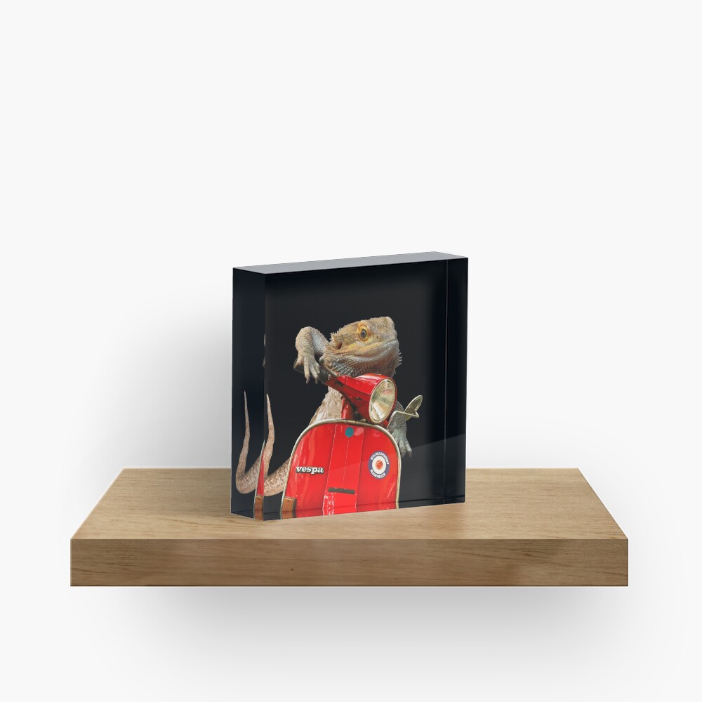 Born To Be Wild - Bearded Dragon On A Vespa Acrylic Block