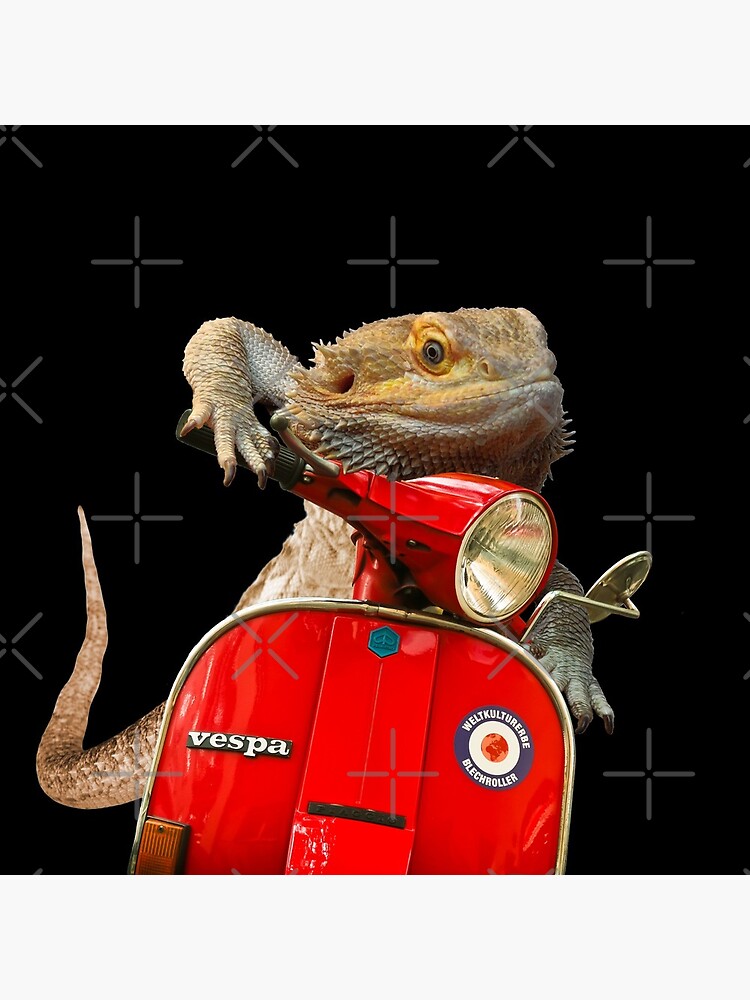 Born To Be Wild - Bearded Dragon On A Vespa by snibbo71