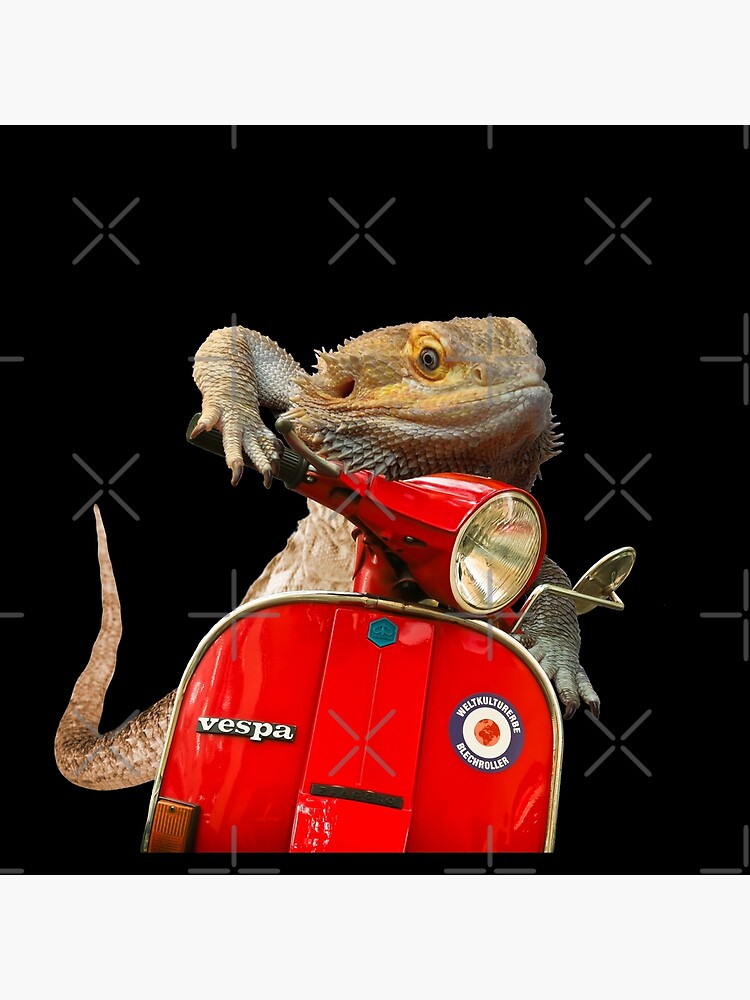 Born To Be Wild - Bearded Dragon On A Vespa by snibbo71
