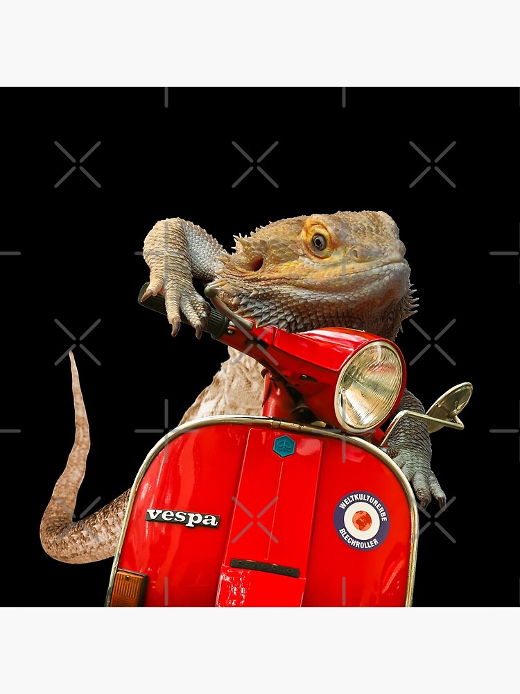 Born To Be Wild - Bearded Dragon On A Vespa by snibbo71