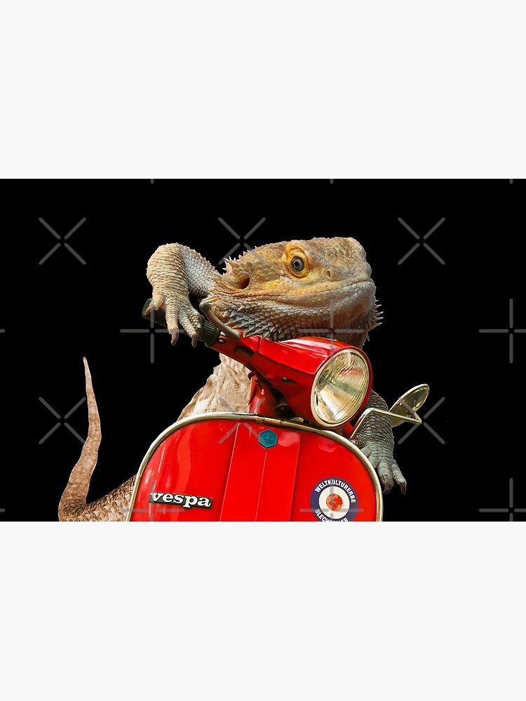 Born To Be Wild - Bearded Dragon On A Vespa by snibbo71