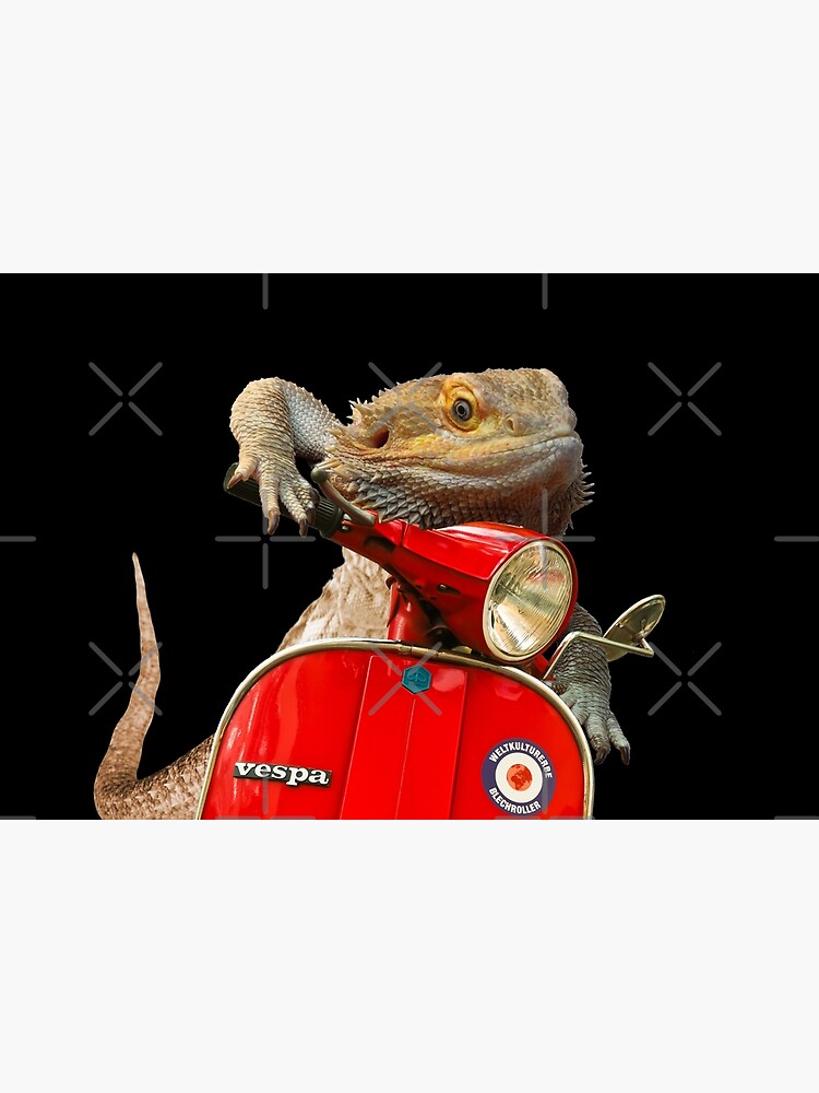 Born To Be Wild - Bearded Dragon On A Vespa by snibbo71