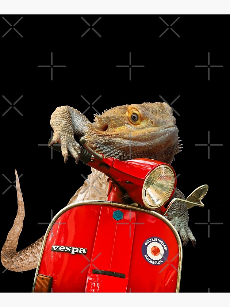 Born To Be Wild - Bearded Dragon On A Vespa by snibbo71