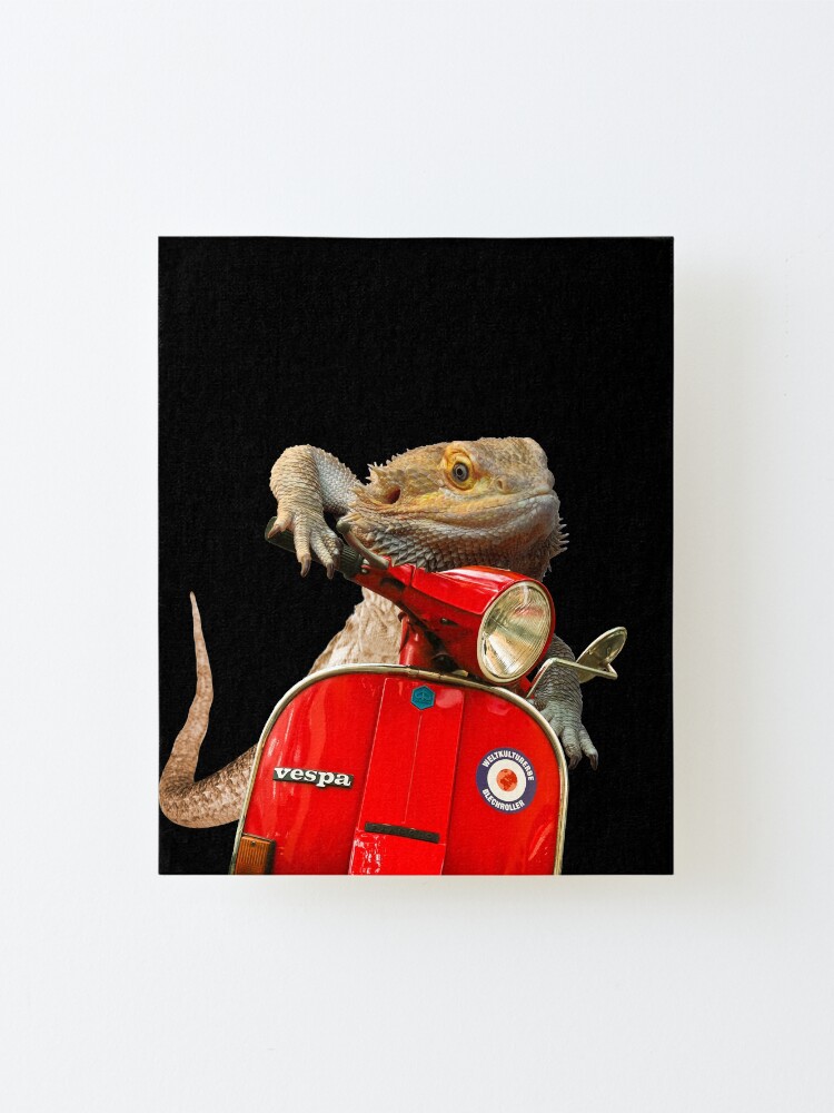 Alternate view of Born To Be Wild - Bearded Dragon On A Vespa Mounted Print
