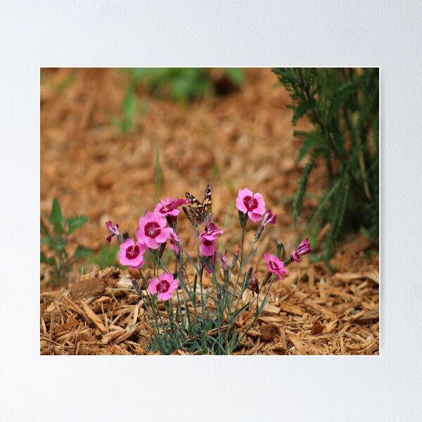 Item preview, Butterfly 2 designed and sold by William Franklin-Cromwell.