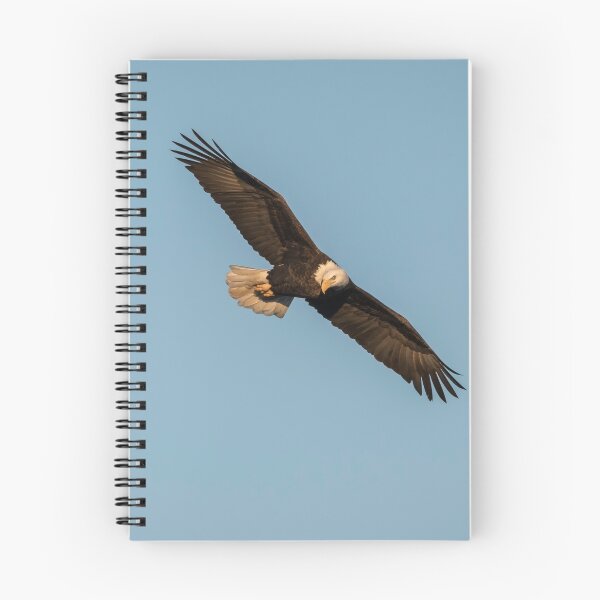 Item preview, The Great American Bald Eagle 2016-10 designed and sold by Thomasyoung.