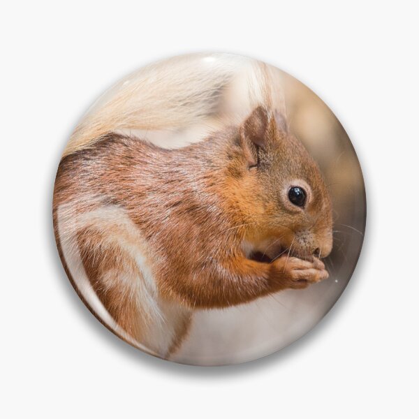 Item preview, Woodland Forest animals hungry red squirrel  designed and sold by HaleyRedshaw.