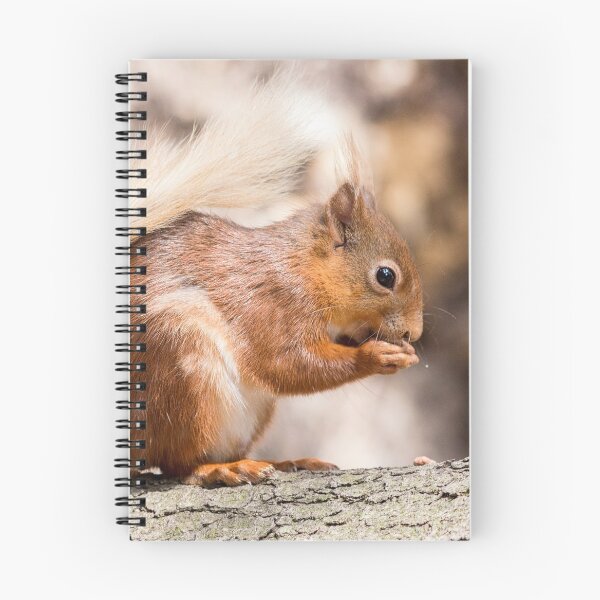 Item preview, Woodland Forest animals hungry red squirrel  designed and sold by HaleyRedshaw.