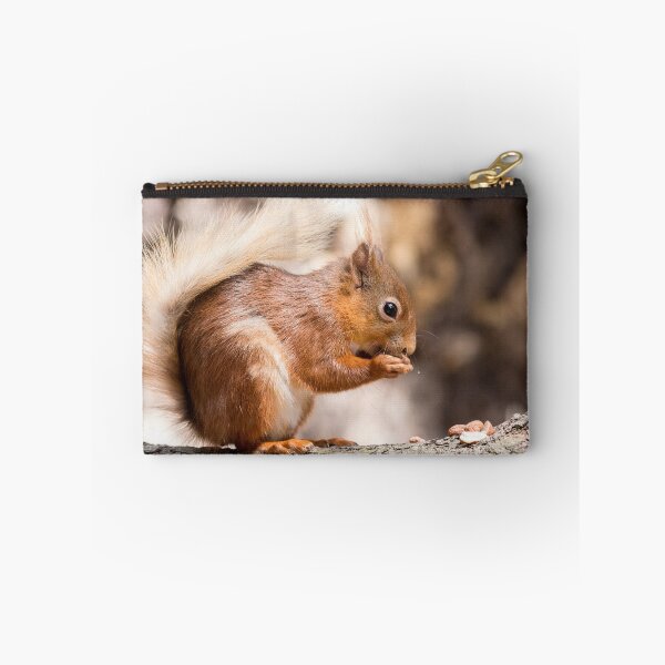 Item preview, Woodland Forest animals hungry red squirrel  designed and sold by HaleyRedshaw.