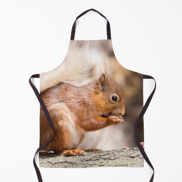 Item preview, Woodland Forest animals hungry red squirrel  designed and sold by HaleyRedshaw.