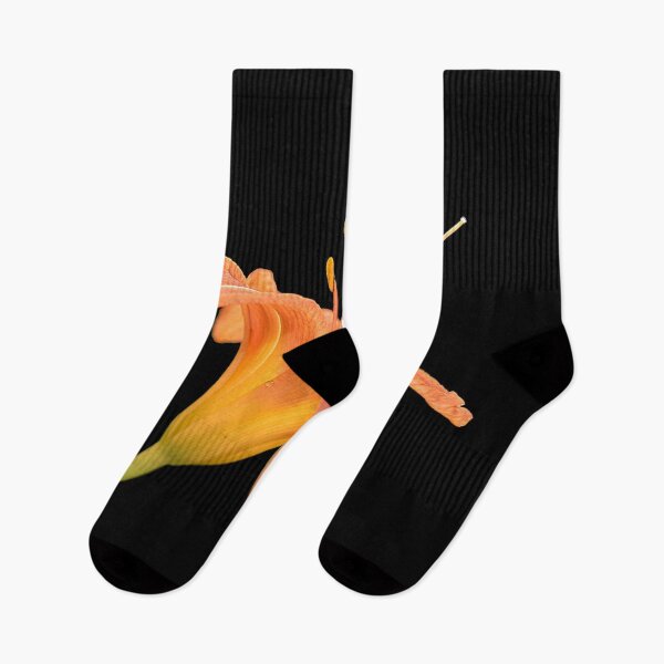 Item preview, daylily on black designed and sold by dnparker.