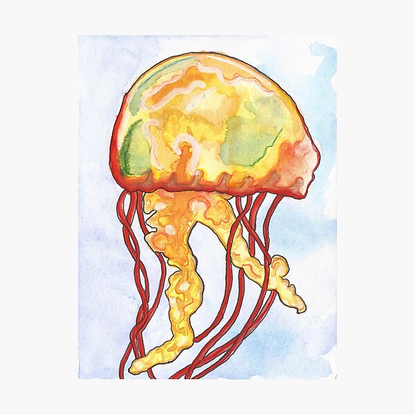 Item preview, Jellyfish Starts with J Ocean Alphabet Animals designed and sold by erinbelkin.