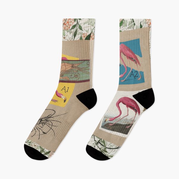 Item preview, ornithology notebook - flamingo designed and sold by jamayr.