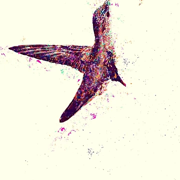 Artwork thumbnail, Hummingbird by Axel Sardinha