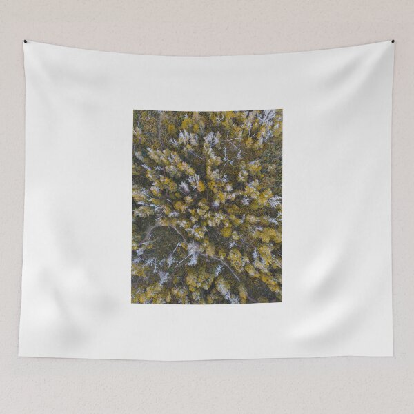 Item preview, Trees everywhere! Drone shoot designed and sold by MarianDiaz.