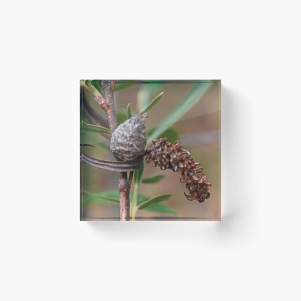 Item preview, Scenic forest and mountain nature designed and sold by Ventures1.