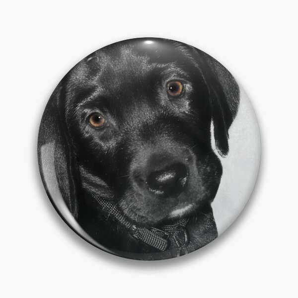 Item preview, Black labrador puppy dog designed and sold by HaleyRedshaw.