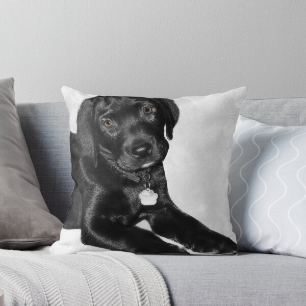 Item preview, Black labrador puppy dog designed and sold by HaleyRedshaw.