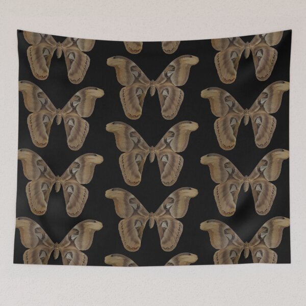 Item preview, Atlas Moth designed and sold by Lori Clough.