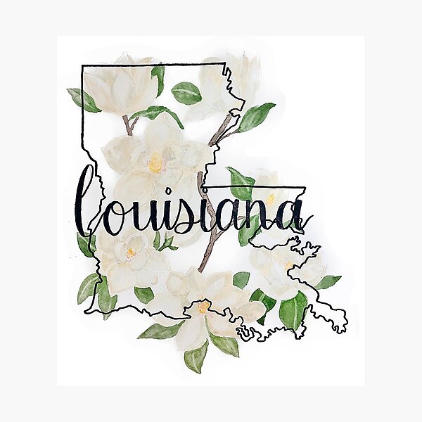 Item preview, Louisiana Magnolias designed and sold by Riley Ahlstedt.
