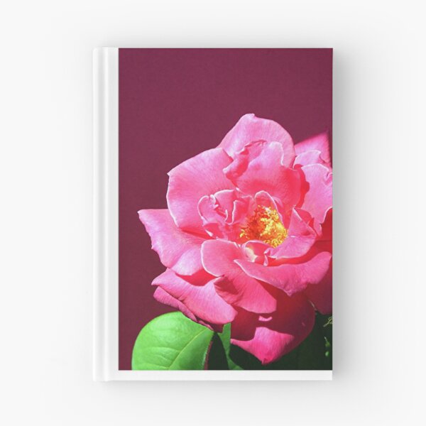 Item preview, Hermosa rosa rosa designed and sold by June Holbrook.