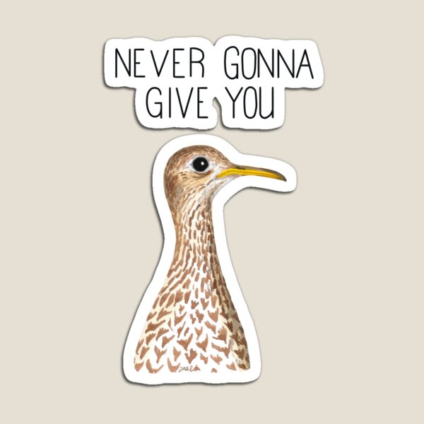 Item preview, Never Gonna Give You (Upland Sandpiper) designed and sold by LauraWolfArtist.
