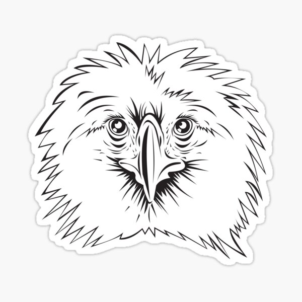 Philippine Eagle T-Shirts for Sale