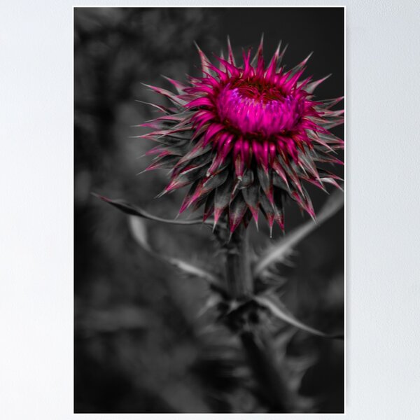Item preview, Floral designed and sold by Awake-Aware.